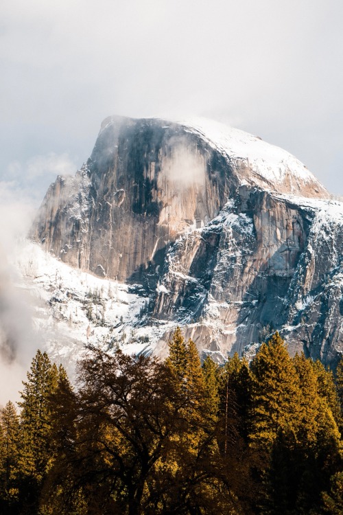 XXX hannahaspen:After the storm, Yosemite National photo