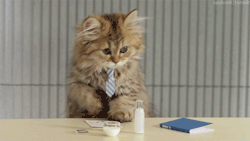 verymeverychic:  Your TPS reports are late, Bob.