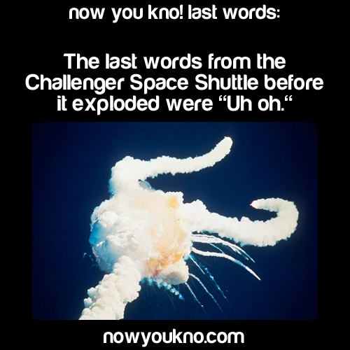rreallyrandomstuff:  twofingerswhiskey:  kittykaterpilla:  consulting-assbutt-of-the-lord:  caniborrowyoursanity:  nowyoukno:  nowyoukno some last words See More Daily Facts Here!  I love how it’s a parrot and then BAM actual humans who knew  “Uh