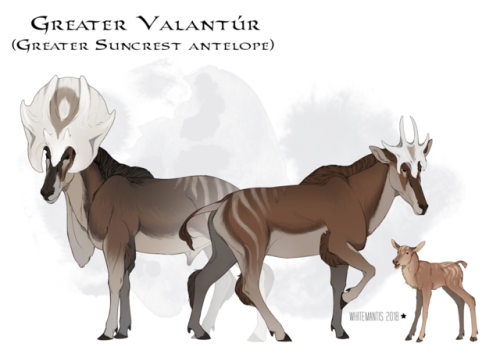 Timeless Bestiary: Greater Valantúr (Greater Suncrest Antelope)PronunciationGreater valantúr (or gre