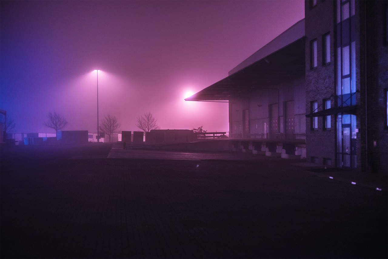 The Neon Meadow
