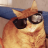 orange-catsidy:the fact that pro wrestlers can hate each other&rsquo;s guts and