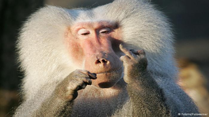 justbeingnamaste:     &hellip;&hellip;&hellip;Evolution,&hellip;no??!!?