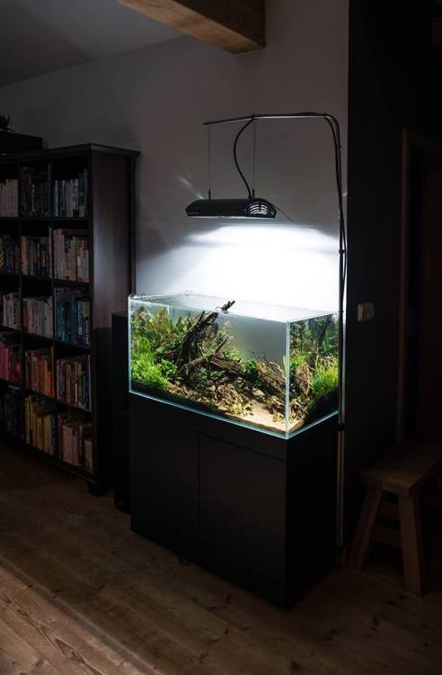 fuck-yeah-aquascaping: Our kind of library :) via Voloduson