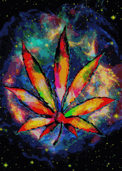 Hallucinogenic Wonderland