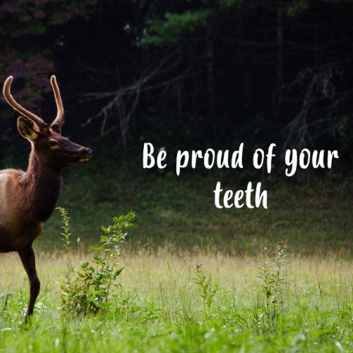 Well If We're Doing Inspirobot Dumps Then
