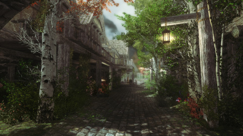 belmontswhip:  Riften Enhanced with Skyrim porn pictures