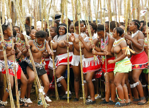 Sex africuties:  #AfricanCuties #Zulu #ReedDance pictures