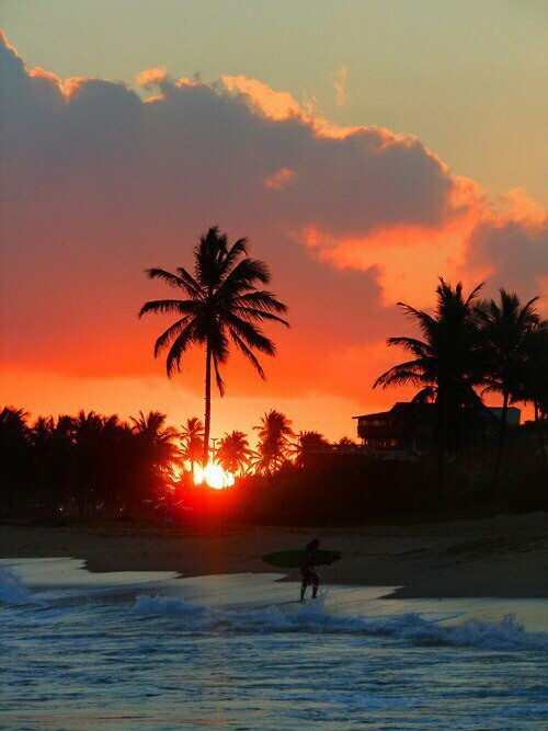 spiderman-and-co:  magics-secrets:  morning    ✔  