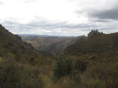 Silver Peaks, NZ