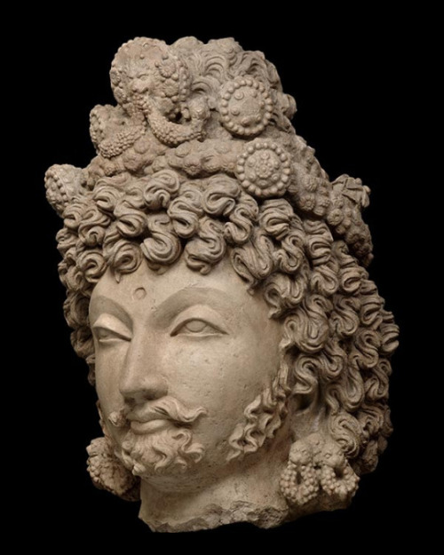 Bodhisattva head from Gandhara