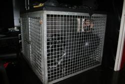 depravpig:  Caged gimp….. and bro 