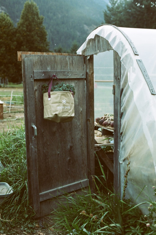 farmlandia: pianonerd16: explore-everywhere: Alana Paterson @monkeyfrog makes me think of the farm I