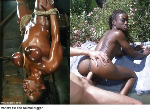 bigwhitedaddy1: Several varieties of niggerslut exist in the world. Below we’ve listed a few of the 