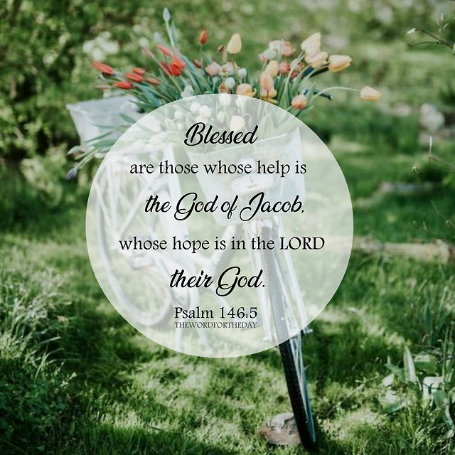 Psalm 146 Devotional BarbarCathra psalm-146-devotional-barbarcathra