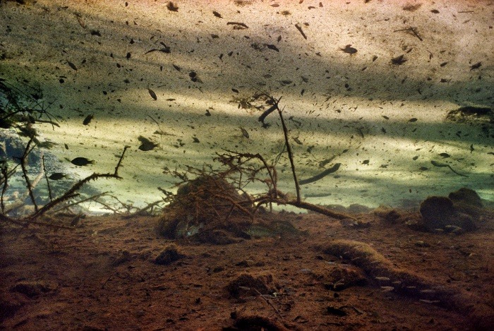 jedavu:  Mysterious Underwater Photos from Florida and Beyond by underwater photographer