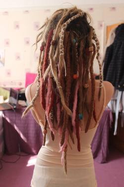 Significance-Unknown:  Dreadlockinfo:  My Names Amy And My Locks Are About 6 Months