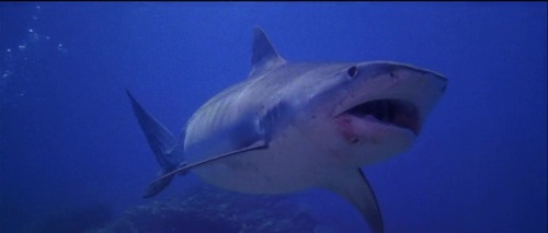 ozu-teapot: Zombie Flesh Eaters (AKA Zombi 2) | Lucio Fulci | 1979Also AKA Zombie…