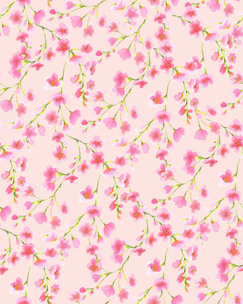 wildsunshine:society6.com/product/cherry-blossoms-pink-on-pink_print
