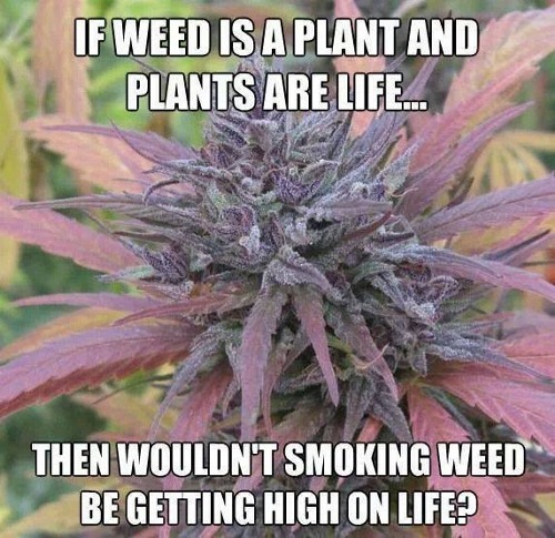 legalizeact:  That’s Exactly What that Means!