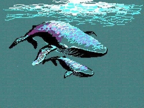 betetete:  http://monsieurpoubelle.bandcamp.com