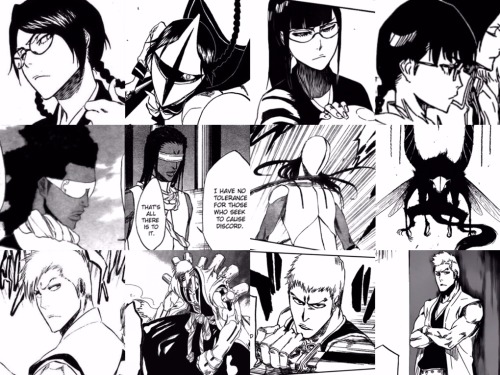 my-fanworks:Members of the Gotei throughout the years