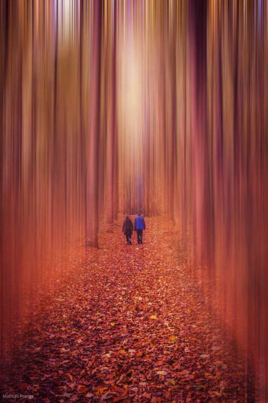 And now the fairy tale begins ... @photographybyajm @stephiramona for abstract-challenge in November