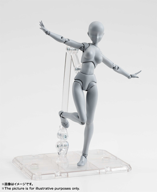 ohnoraptors:S.H.Figuarts ボディちゃん DX SET （Gray Color Ver.）