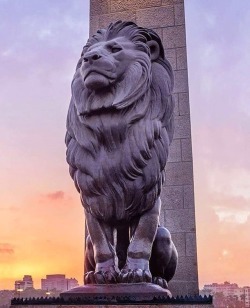 historytellrsworld:  “Open your eyes to the beauty around you, Open your mind to the wonders of life, Open your heart to those who love you and always be true to yourself.“   📍Kasr El Nil Bridge . Cairo . Egypt 🇪🇬#cairo #egypt #iregipto #egyptpassion