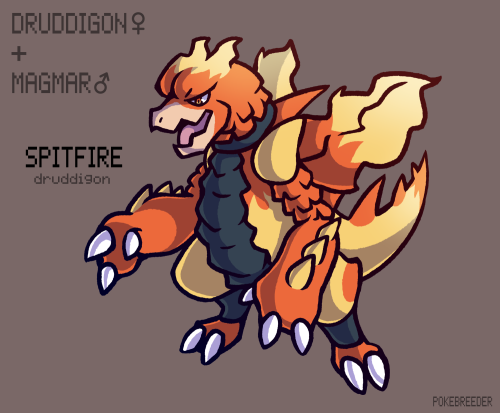 Spitfire Druddigon can be found in lava caverns under volcanoes, hunting the fire type Pokémon that 