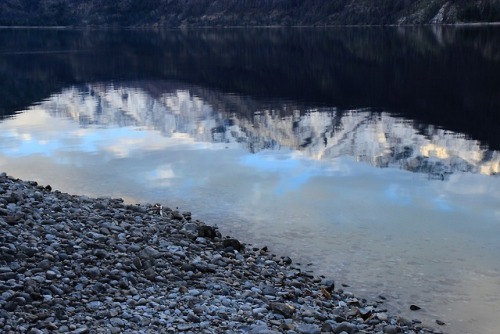 burningmine:Chelan Lakeshore Trail, April 2018