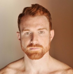 hairygingerman:  Gorgeous ginger man 