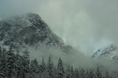 burningmine:Snoqualmie Pass, November 2020