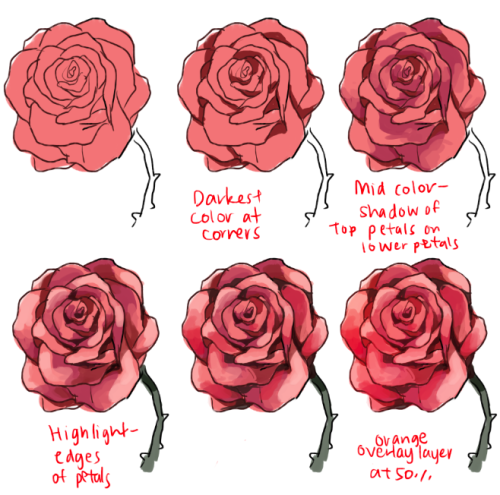 kelpls:  THERE ARE DIFFERENT KINDS OF PEONIES idk which one so i just drew the one that most people use I’m sorry it’s no vrery detailed lies on my side  Ah this should make things a little easier when doodling out roserade flowers.