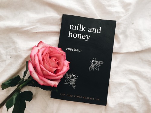 nuclearskyscrapers: milk and honey featuring a rose i got for my birthday :’-) 