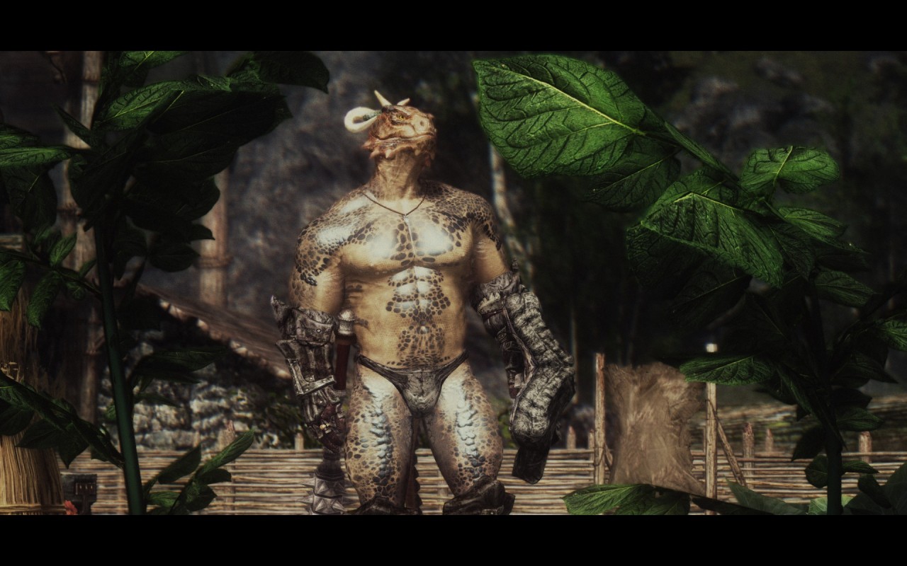 move-to-ipod:  personalchesschirebaconblog:  mrbonerswildride:  beastracesftw:  Skyrim