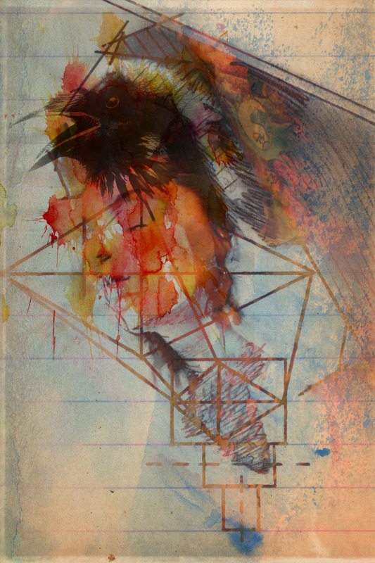 noisenest:  Inaudible Symphony - Complete // Theresa Manchester // Physical and Digital