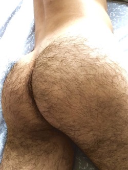 willinsf:  haurukoh:  This hairy butt is