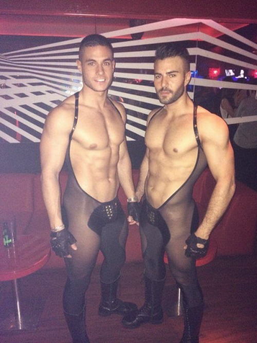 bearaccrosturbe:  Ambiguité du male viril gainé de nylon. 