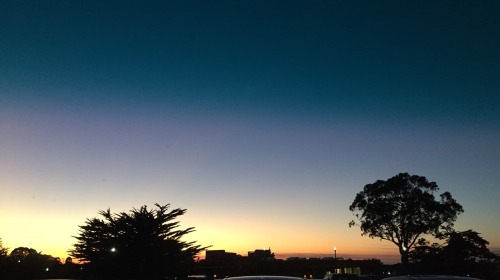heyheysuzy:  Going to class sucks but nice view in the meantime 