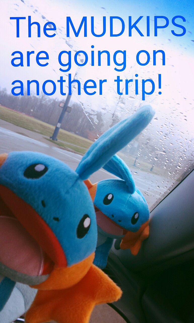 acerotiburon:  STAY TUNED!  Thanks for all the reblogs on their last vacation  ♡