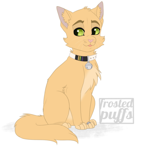 frostedpuffs:  Le Chat devient…le chat?i’ve been having a hard time drawing stuff lately due to time constraints and stress so i self indulged and drew chat noir as an actual cat. don’t know how it happened, but it was probably plagg’s fault—either