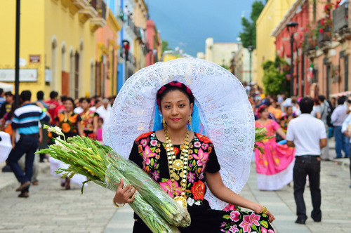 maravillasdemexico: Todas las Maravillas de México en coyotitos.com/