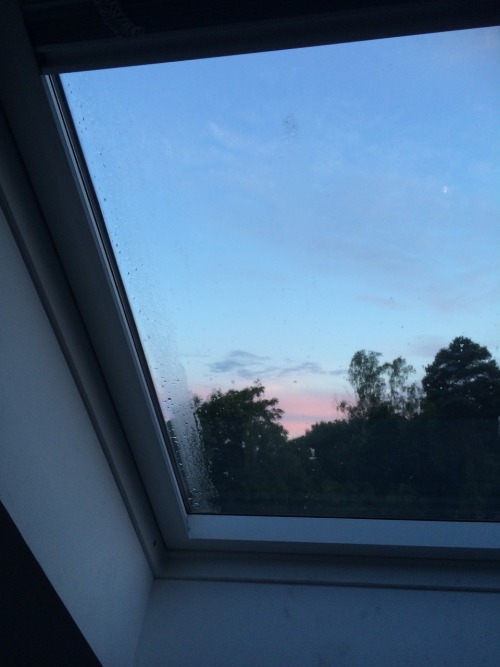 intriganz:  wow