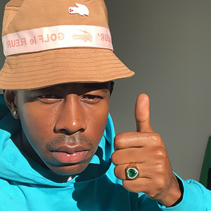 tyler the creator aesthetic icons｜TikTok Search