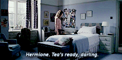  ϟ Harry Potter Meme |  eight quotes/dialogues [5/8] ‘Assuming I survive