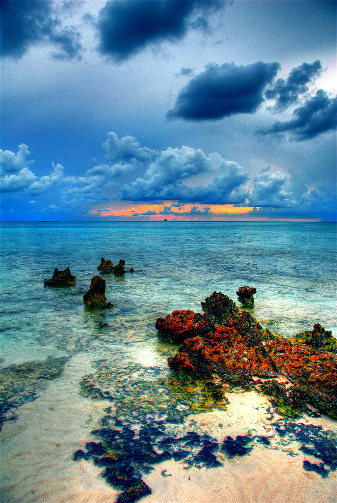 brutalgeneration:  Cayman Island Reef (by slack12) 