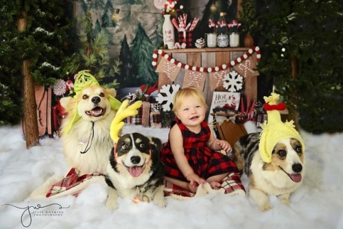 Thankful for my wonderful family by Julie Wotring aka the corgi whisperer aka the camera magician #c