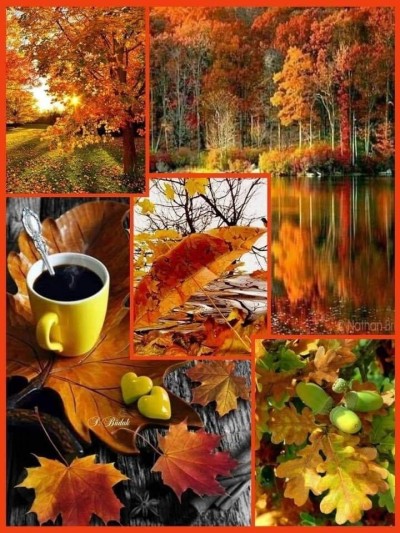  BIENVENIDO OTOÑO  ڰۣ✿✿ 201bb988afccf238c41958608d0cc1d00adb8ff6