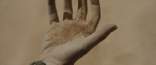 filmswithoutfaces: Dune (2021)dir. Denis Villeneuve